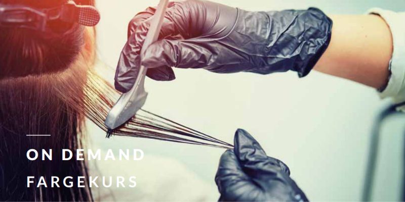 On Demand – Fargekurs